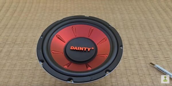 Dainty Subwoofer 10 Inch Price